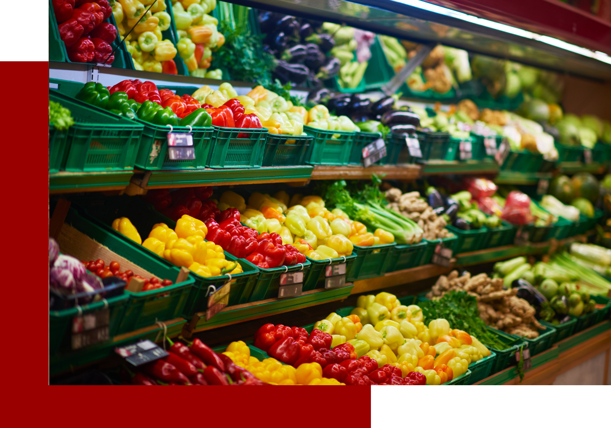 Pharmaceutical Exclusive Distributor in Yemen, FMCG, Distributor in Yemen, Biggest Retail Hypermarket in Yemen, Cipla, Cadila, Zydus, Hikma, LG Chem, Hetero, Emcure, Himalaya, 21st Century, Lagap, Lupin, bilim, MSD, Schering Plough, ursapharm, Nature's Bounty, zambon, Hyproca, Dabur, Reckitt, KRBL Limited, Vatika, Amla, Miswak, Herbal Toothpaste, Britannia, Himalaya, Marico, Khalil Ghaleb Ali Al Jabal, Herbal Products, Cosmetic, Oral, Hair, Home, Skin, Care, Amla Juice, ayurveda, biscuits, food supplements